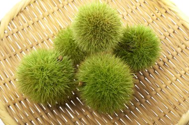Taze yeşil Japon kestaneleri sepette