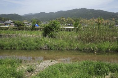 Nehir kıyısındaki köy. 