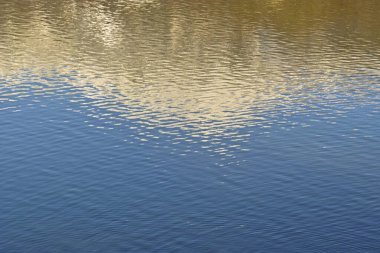 Yansıma ve dalgalanmalarla güzel göl suyu yüzeyi