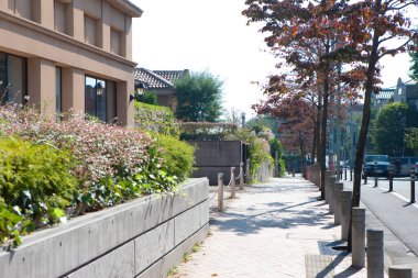 Ağaçlar ve çalılarla kaplı güneşli şehir kaldırımı