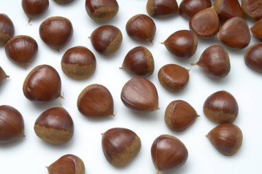 Arka planda bir sürü olgun kestane, kapatın