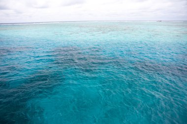 tropikal maldivlerdeki mavi su ve mercan resifleri