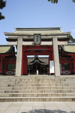 Asya Tapınağı Mimari Detaylı Görünümü