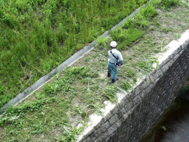 Bahçıvan bahçesinde yetişen yemyeşil çimenleri dikkatlice buduyor..  