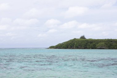Karayip Denizi'ndeki tropikal ada