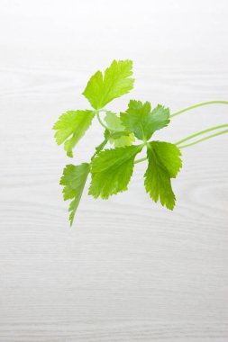 Beyaz ahşap bir masada taze maydanoz.