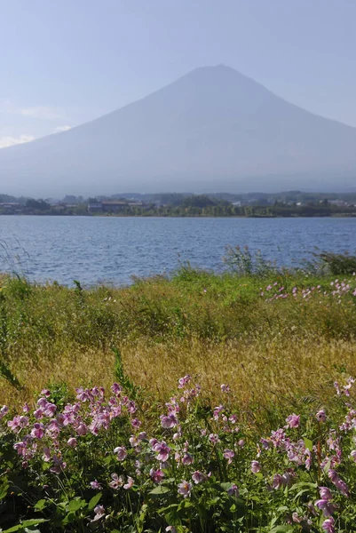 マウント 夏の川口湖の富士について — ストック写真