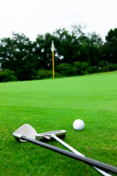 Pallone Golf Mazze Golf Sull Erba Verde — Foto Stock