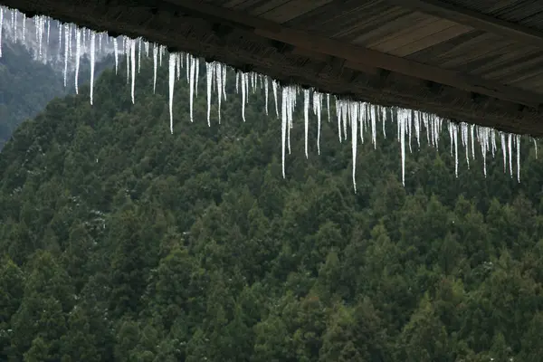 Beautiful View Forest Icicles Roof — Stock Photo, Image
