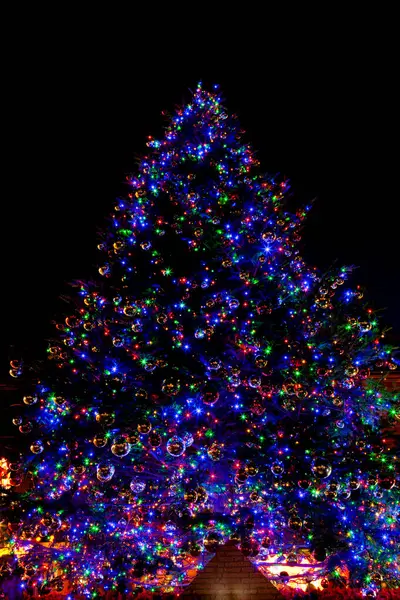 有彩灯和彩灯的圣诞树 — 图库照片