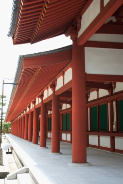 Asya Tapınağı Mimari Detaylı Görünümü