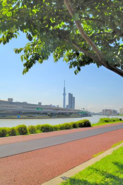 Sumida Nehri, Tokyo 'daki Shioiri Parkı.