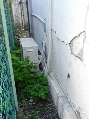 Yeşil çitin yanındaki çatlamış dış duvarda fazla gelişmiş bitkiler var.