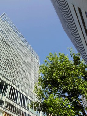 Şehirdeki yeşil ağaç ve modern binaların alçak açılı görüntüsü