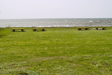 the coast of the sea with wooden benches 