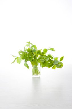 Beyaz bardakta taze fesleğen