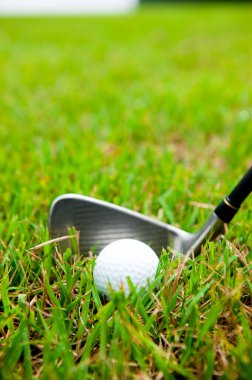 yeşil çimen ve golf topu