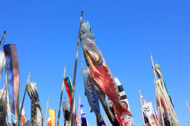 Japon koinobori ya da sazan balıklarının açık hava görüntüsü.                