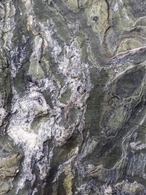 Taş zemin. kaya dokusu