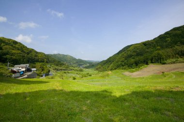 Yazın yeşil tarlalı bir dağ manzarası 
