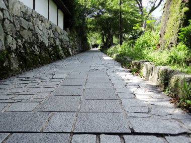 Japonya 'daki yaz parkında taş patika. 