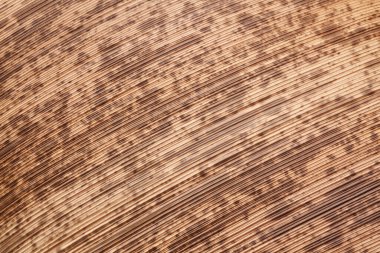 soyut kahverengi ahşap arkaplan dokusu