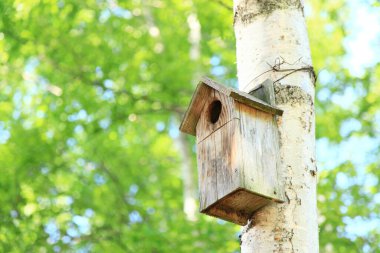 bir ağaç gövdesi üzerinde kuş evi