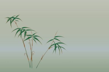 Hafif arkaplanda bambu