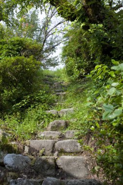 Ormanda taş basamaklar