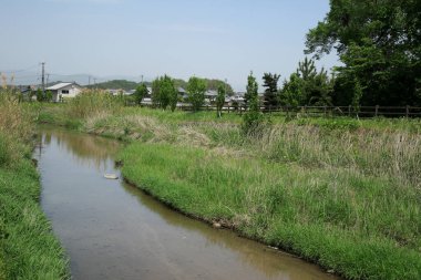 a beautiful scenery of river in countryside 