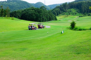 Yeşil çim ile Golf Sahası