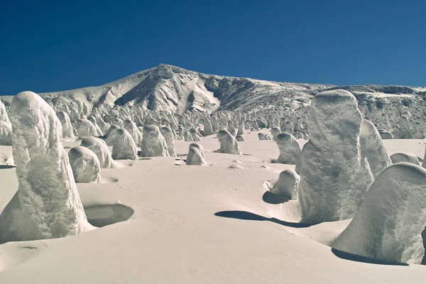 Όμορφη Θέα Χιονισμένο Χειμερινό Τοπίο Χιονισμένα Δέντρα Στην Κορυφή Του — Φωτογραφία Αρχείου