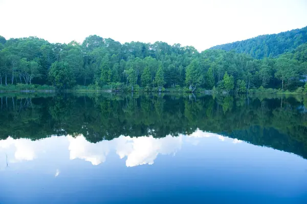 Hermoso Paisaje Con Lago Bosque — Foto de Stock