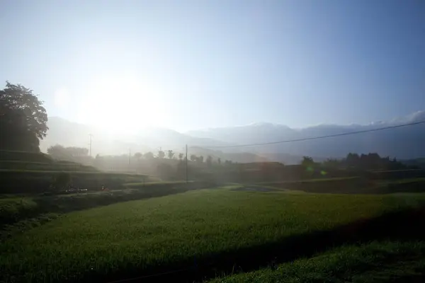 Красивый Сельский Пейзаж Зеленым Полем Живописными Горами Утром — стоковое фото