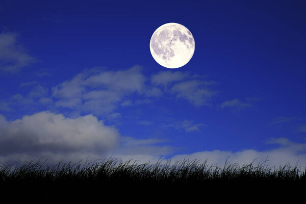 Full moon at night in the field
