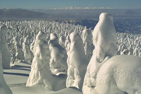 Bela Vista Paisagem Inverno Nevado Neve Coberto Árvores Topo Montanha — Fotografia de Stock