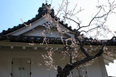 Asya köyündeki eski güzel mimari detayları.