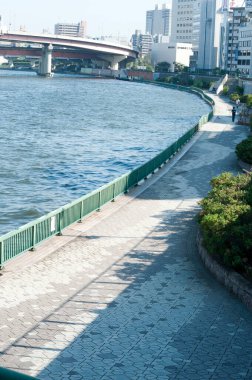 Nehir kıyısı mimarisi Tokyo, Japonya şehir manzarası çizgisi