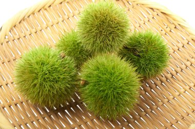 Taze yeşil Japon kestaneleri sepette