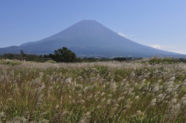 Japonya 'daki Fuji dağı, mavi gökyüzü arka planı