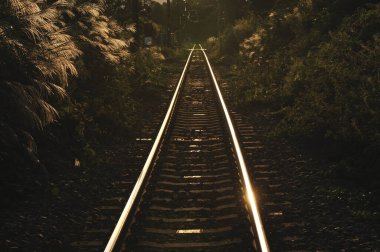 Akşam ışığında demiryolu rayları