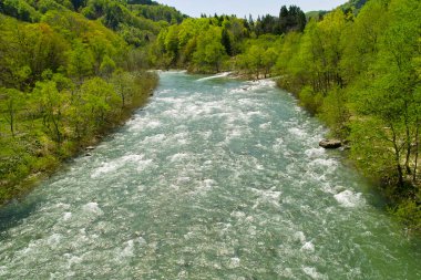 Dağ nehri ile güzel doğa manzarası