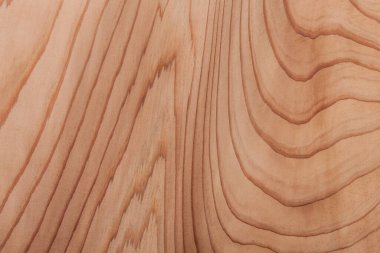 Tahta doku, doğal ahşap zemin 