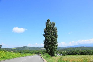 Güzel dağ manzarası