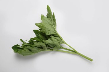 bunch of fresh leaves on white background