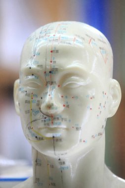 Akupunktur Model Taklit Yakın plan Görünümü