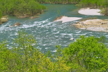 Dağ nehri ile güzel doğa manzarası