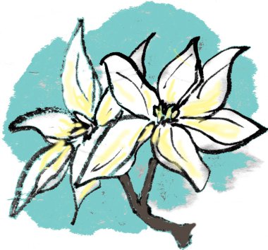 Çiçeğin vektör illüstrasyonu.