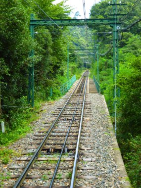 Ormandaki tren yolu.