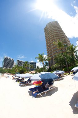 güzel tropikal plaj arka plan manzarası 